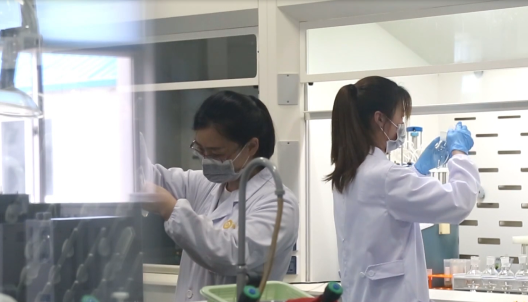 202108201735536187.png 202108201735536187.png